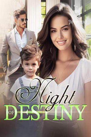 Night of Destiny Novel by Vanessa K